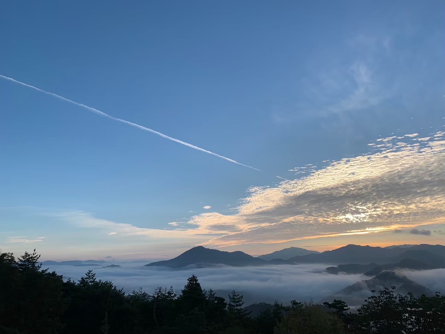 当ホテルから見える雲海の画像