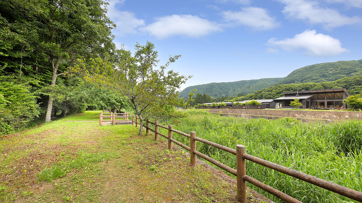 周辺散歩コース