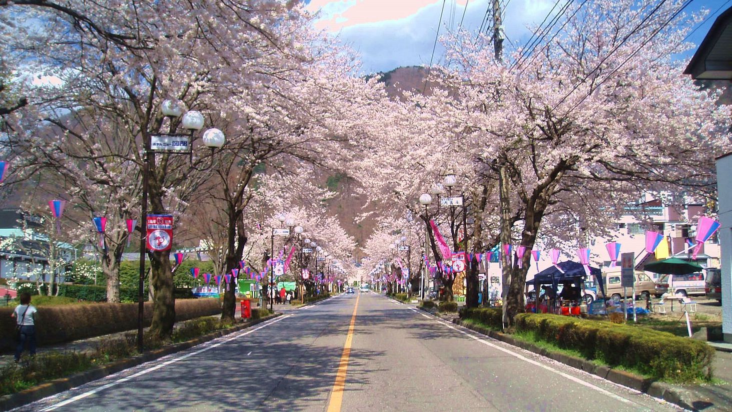 鬼怒川公園駅前の桜＜当館から車で35分＞