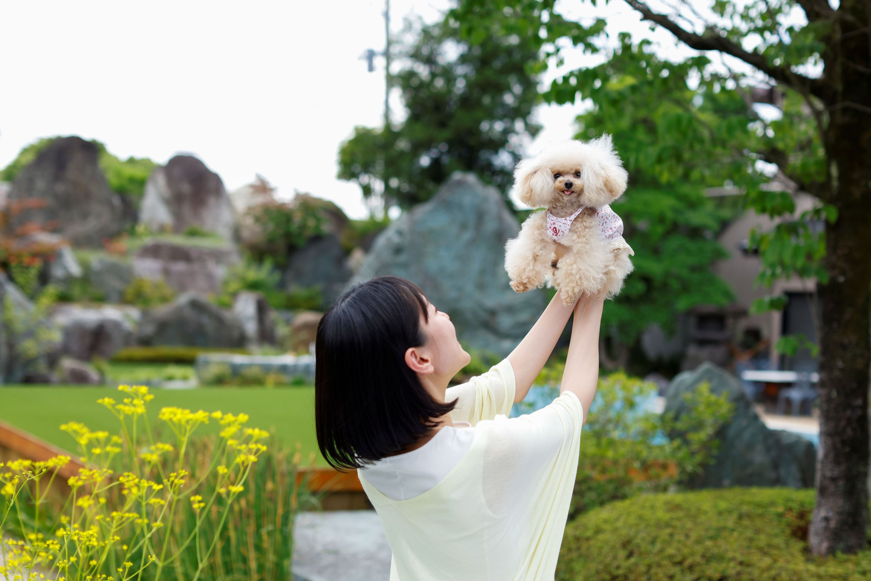 わんちゃんと過ごし方