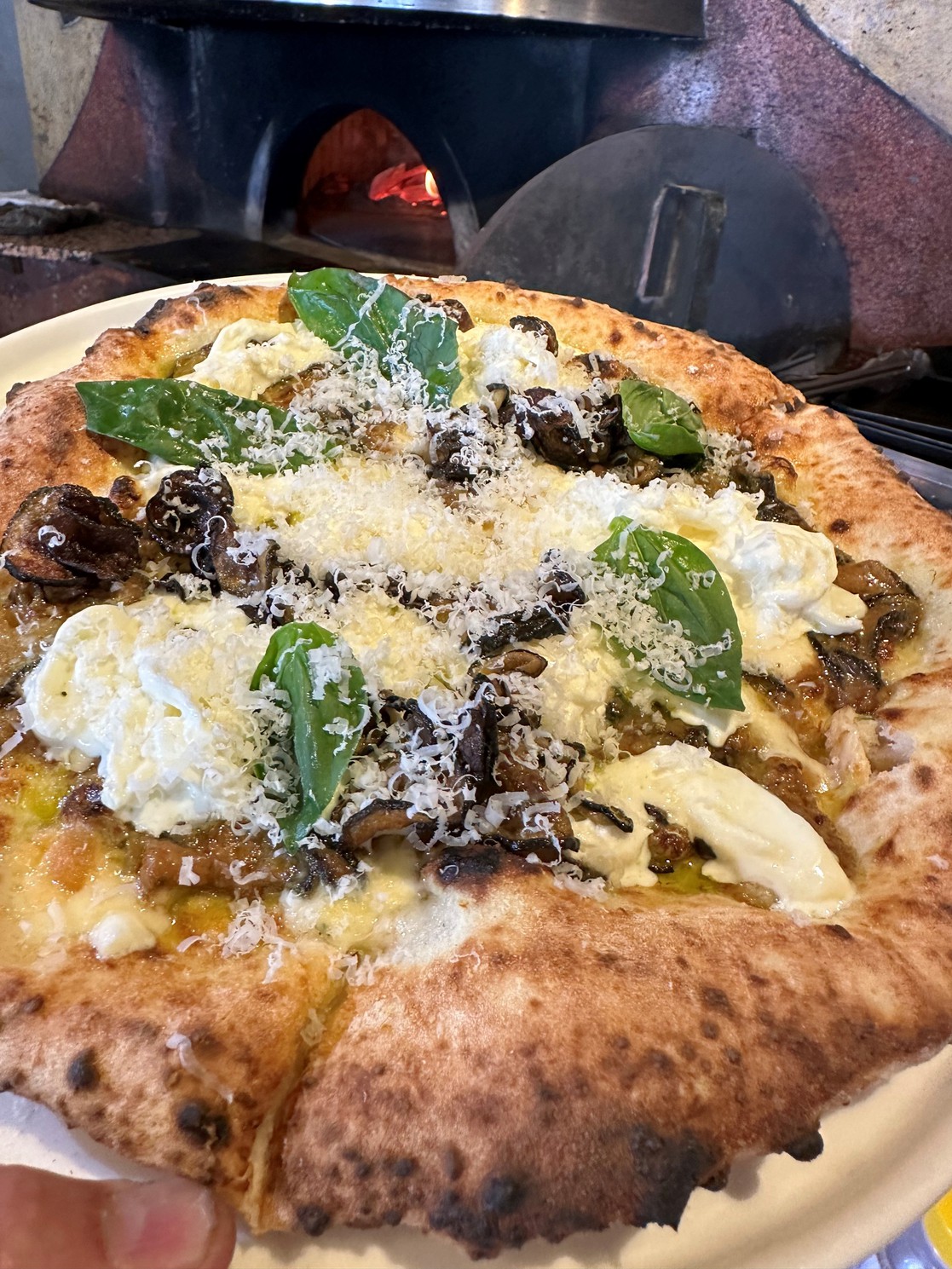 ナポリ料理のランチコース