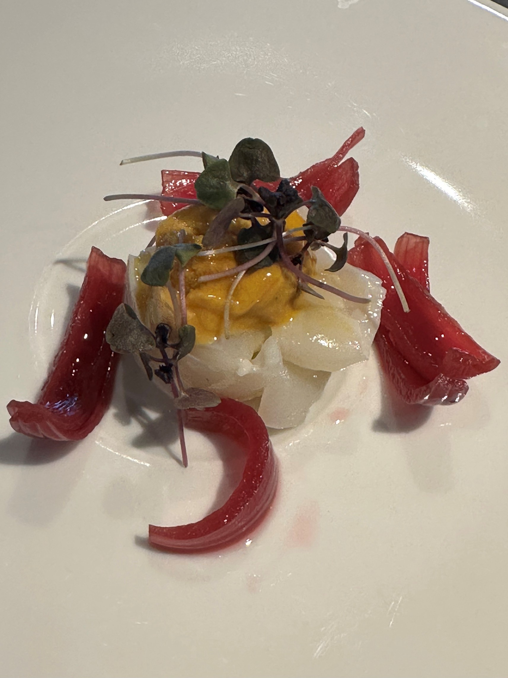 ナポリ料理のランチコース