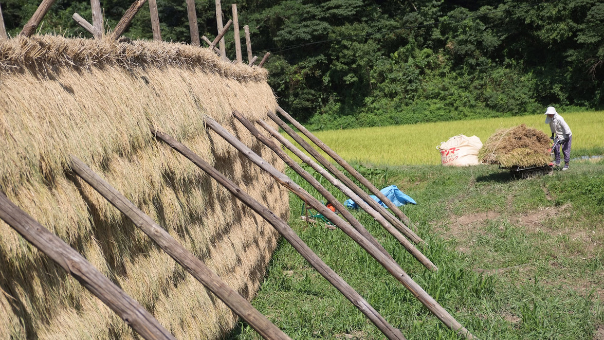 旅館ふるばやし