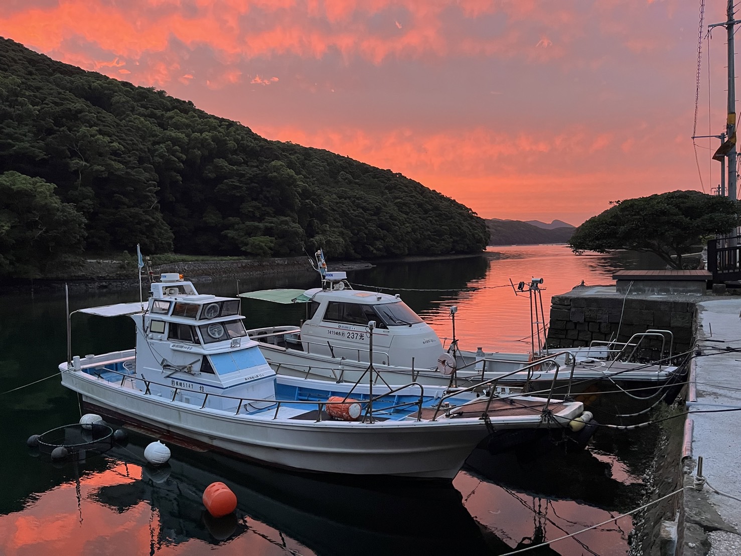 夕焼け