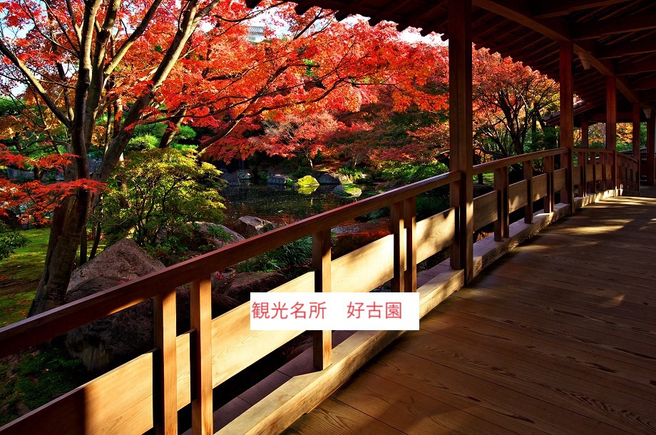 月燈のnull