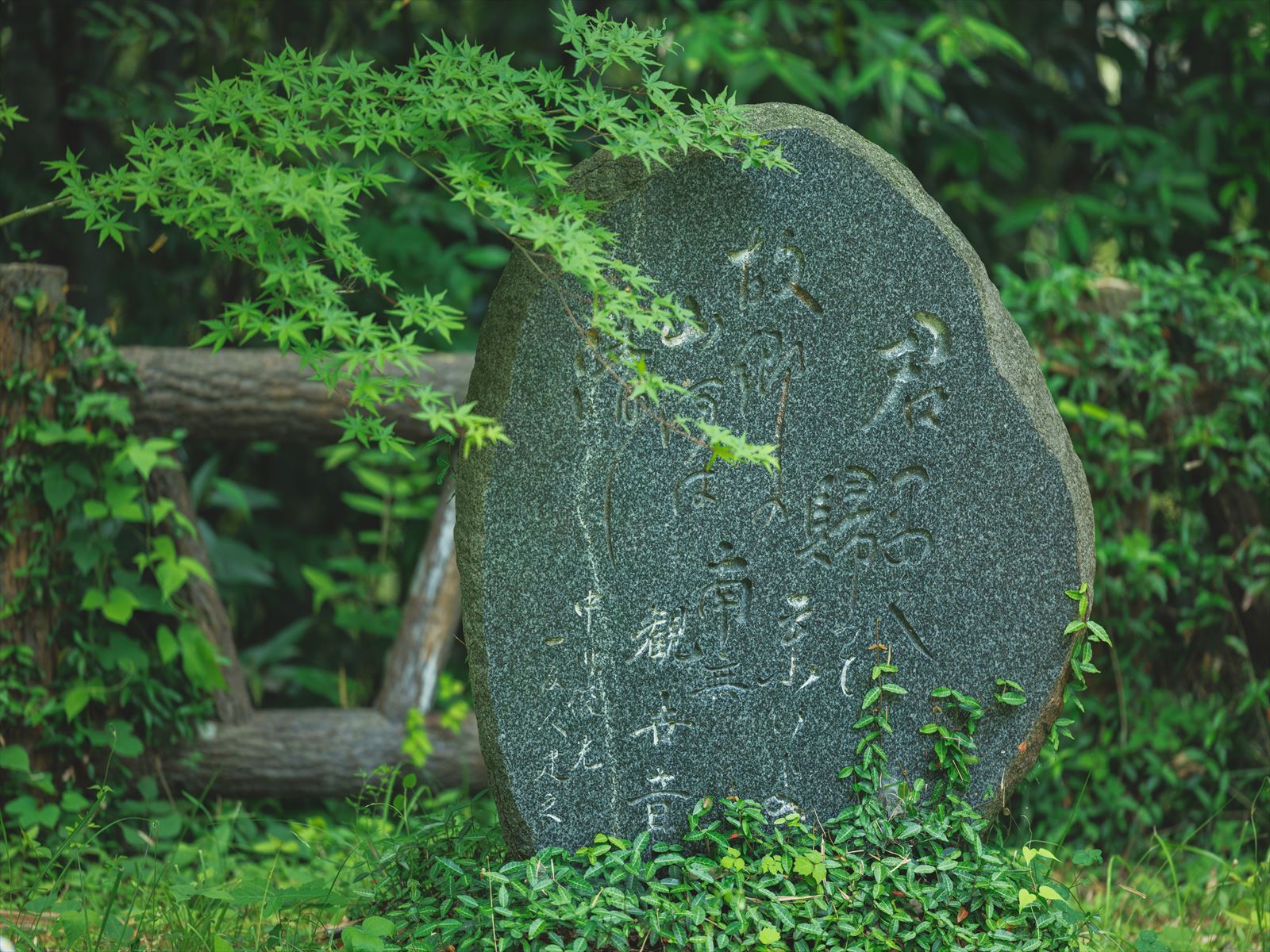 湖畔の宿 緑水園 虹の村コテージの施設情報【HIS旅プロ｜国内旅行ホテル最安値予約】