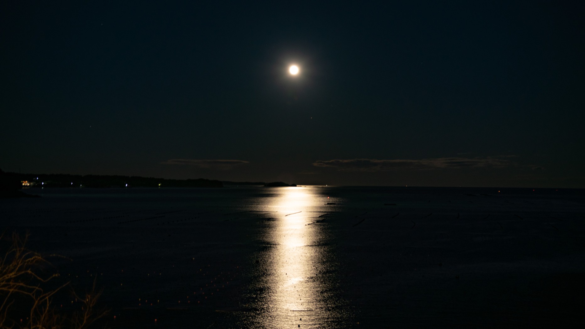 志津川湾を明るく照らすお月様。
