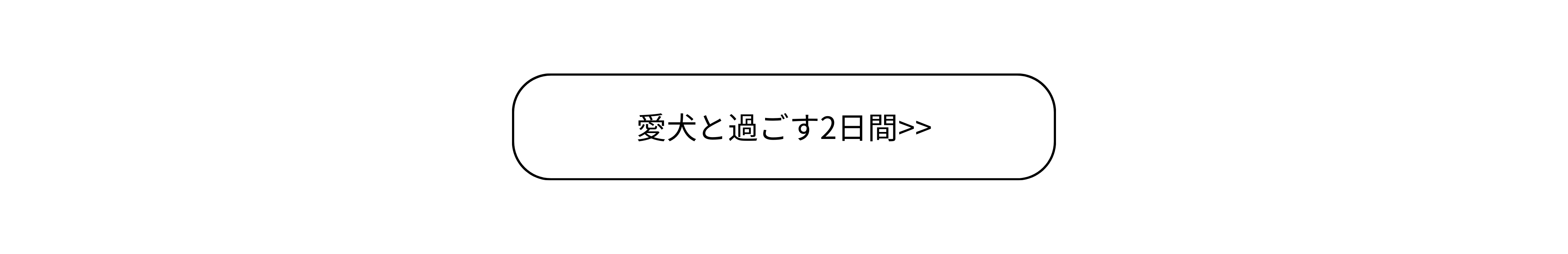 トップページ