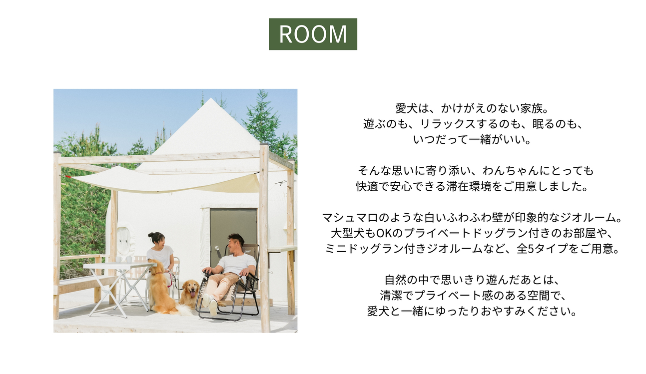 トップページ