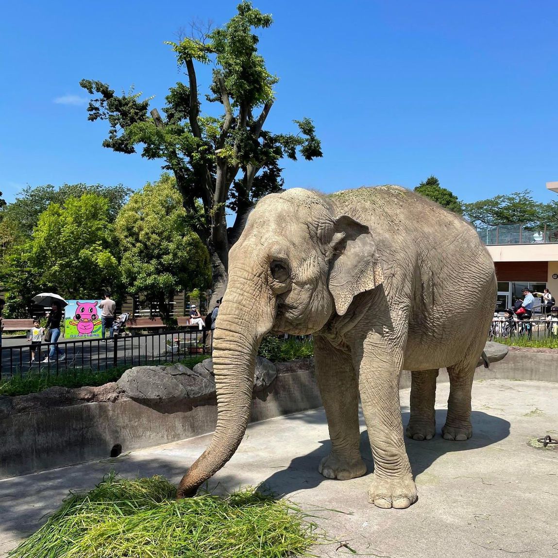 日立においでよ！【かみね動物園】入園券付き優待プラン！カップルやファミリーにオススメ！