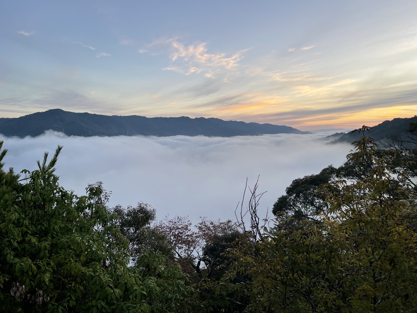 笠置山から見える雲海