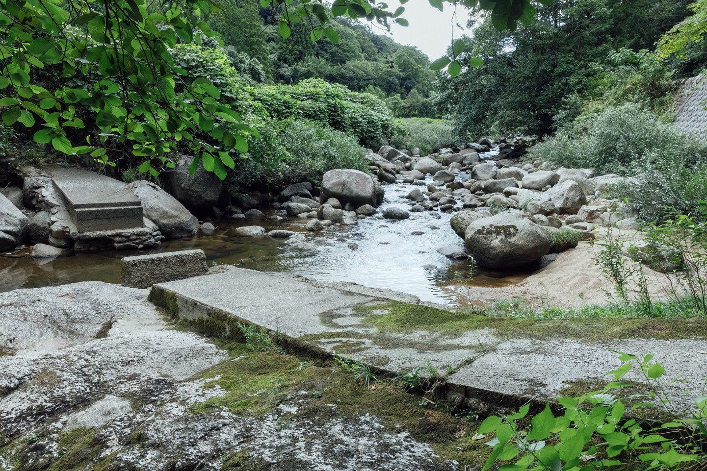 前を流れる木津川