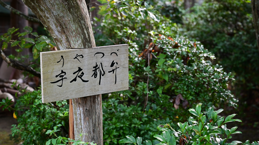 *【離れ：宇夜都弁】ここでしかできない特別な体験をお楽しみください。