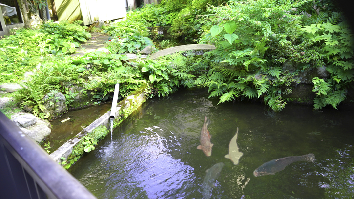 *庭園／館内から望む庭園スペース、優雅に泳ぐ鯉と四季の自然の風景に心癒されるひとときを