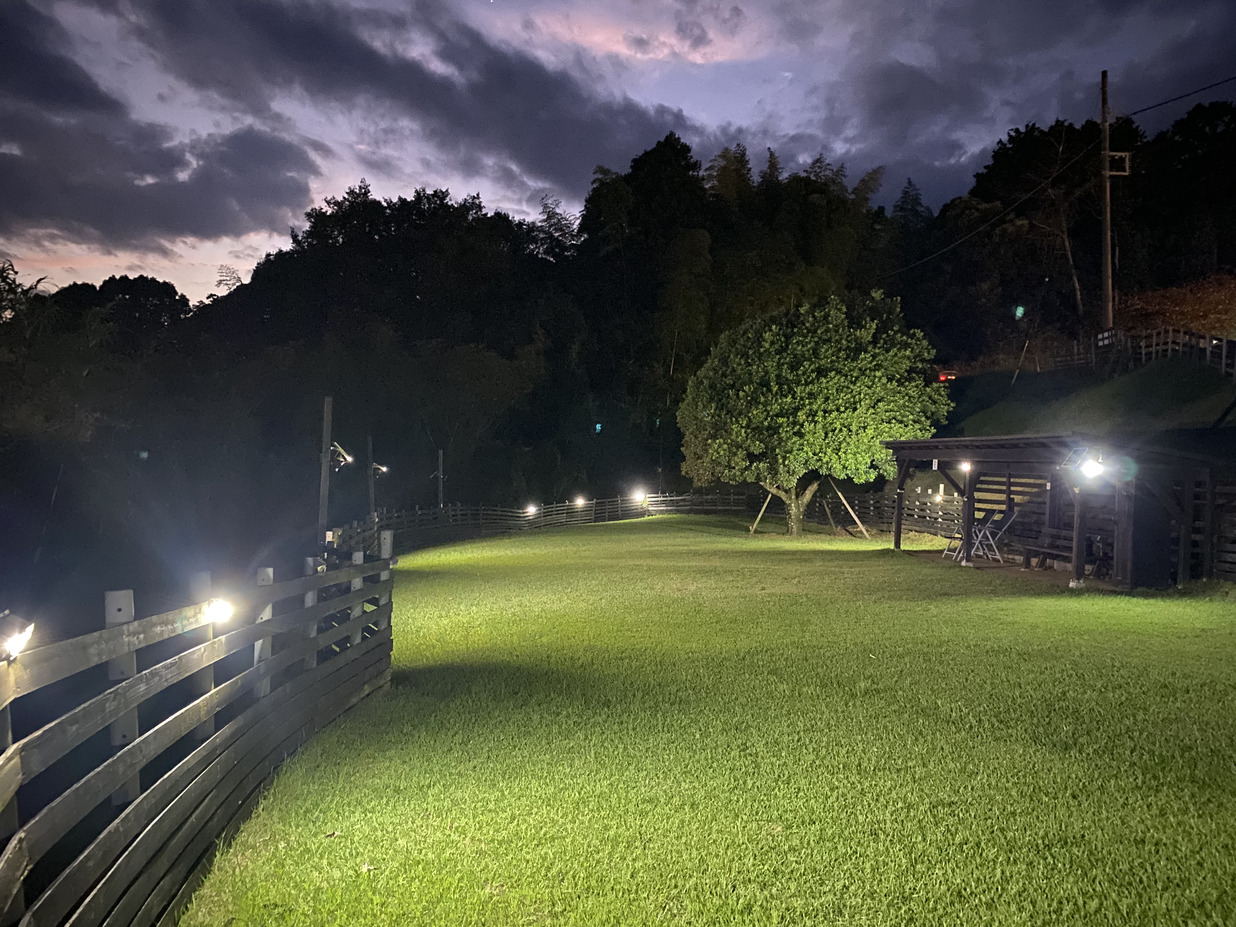 夜のドッグラン