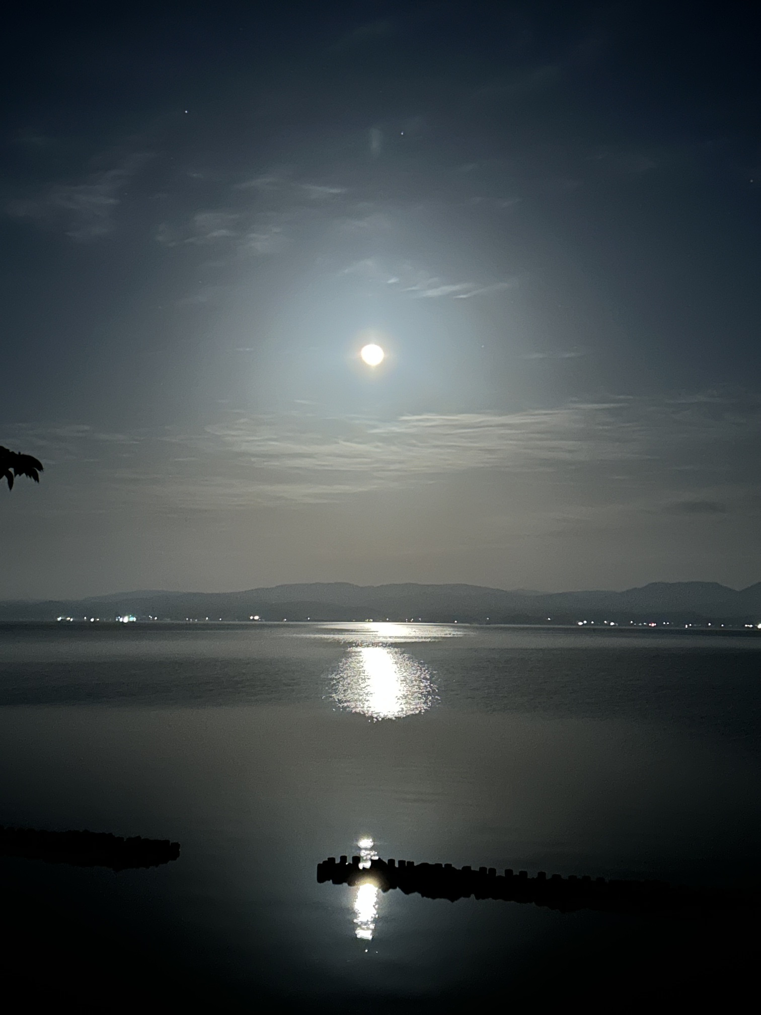 湖面の月