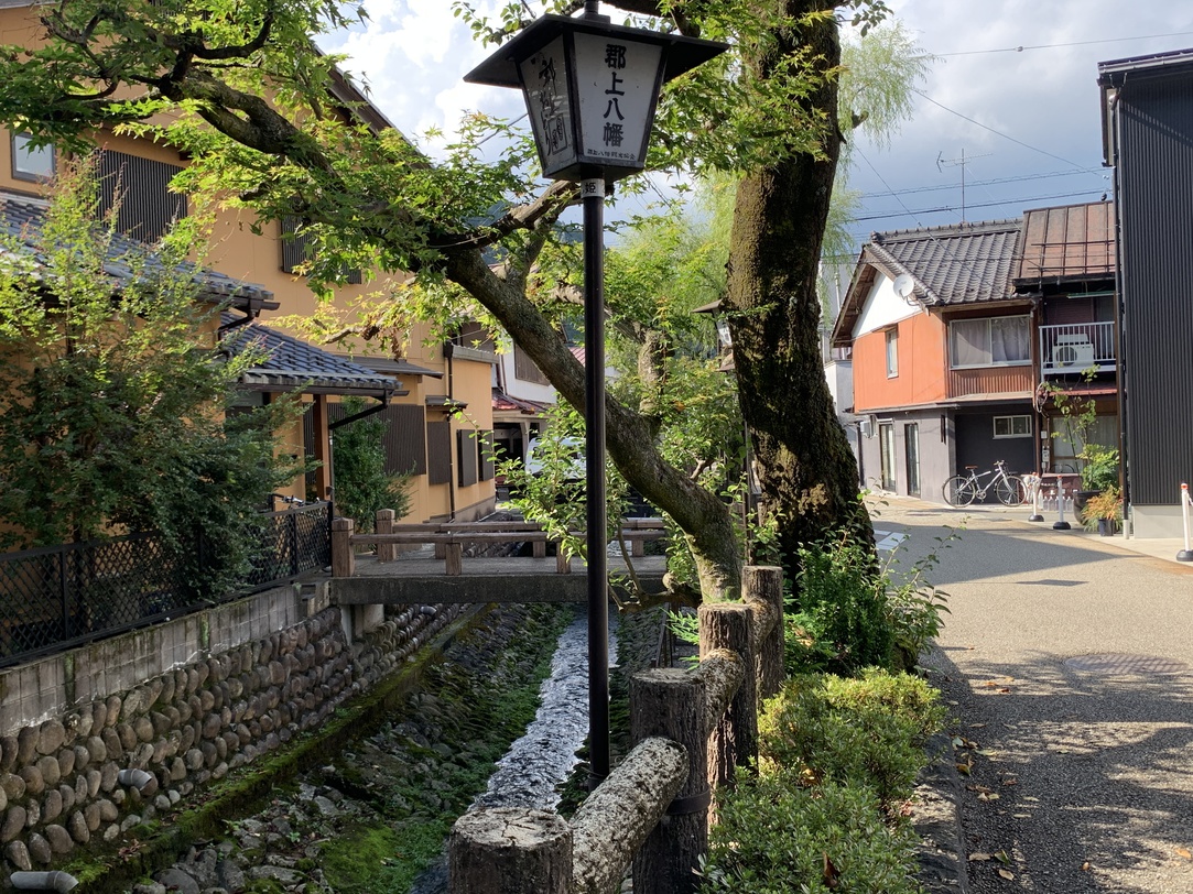 乙姫川