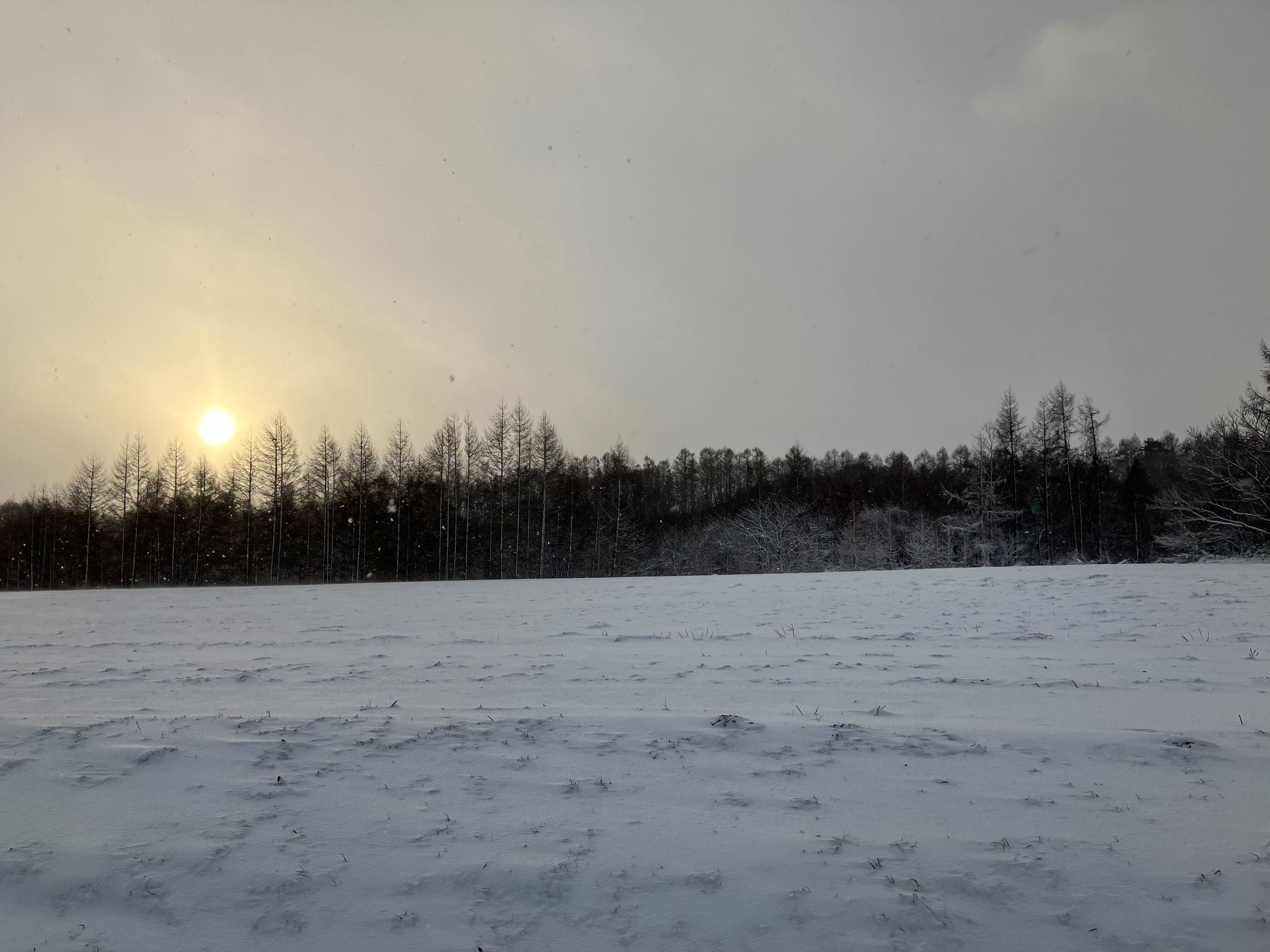 安比の風景