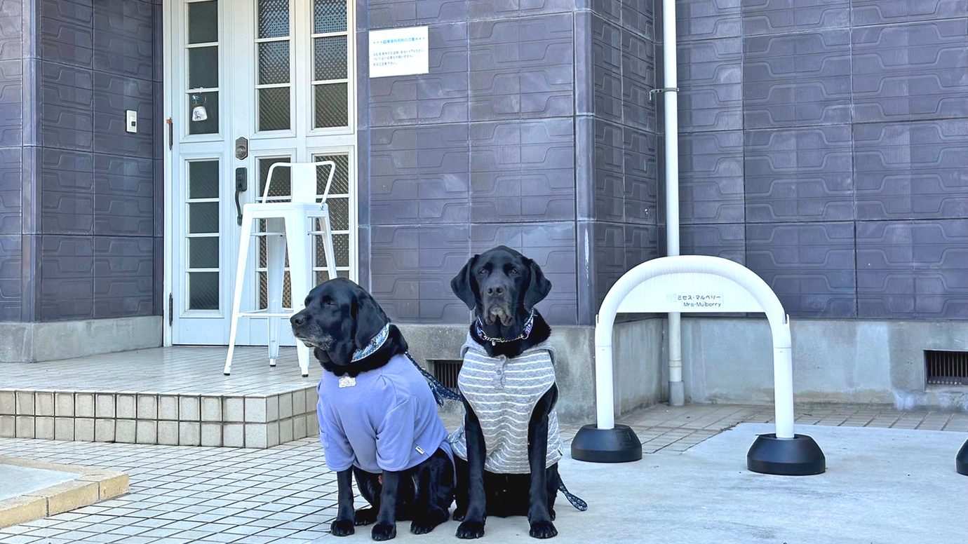 ワンちゃん同宿OKの施設です！