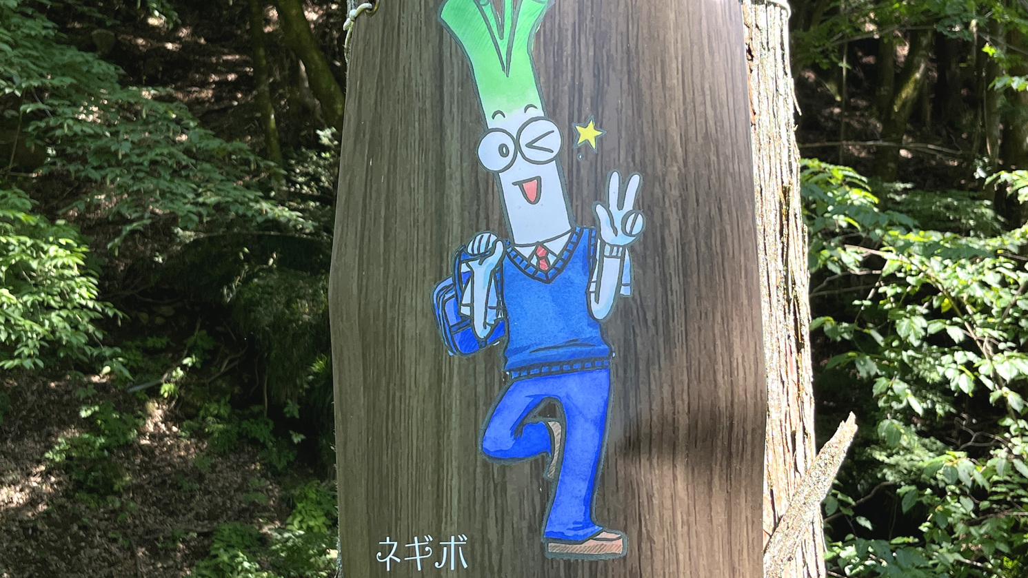 キャンプサイトネギボ