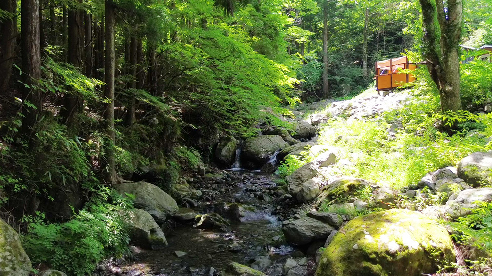 コテージ横に流れる川のせせらぎを聞きながら♪