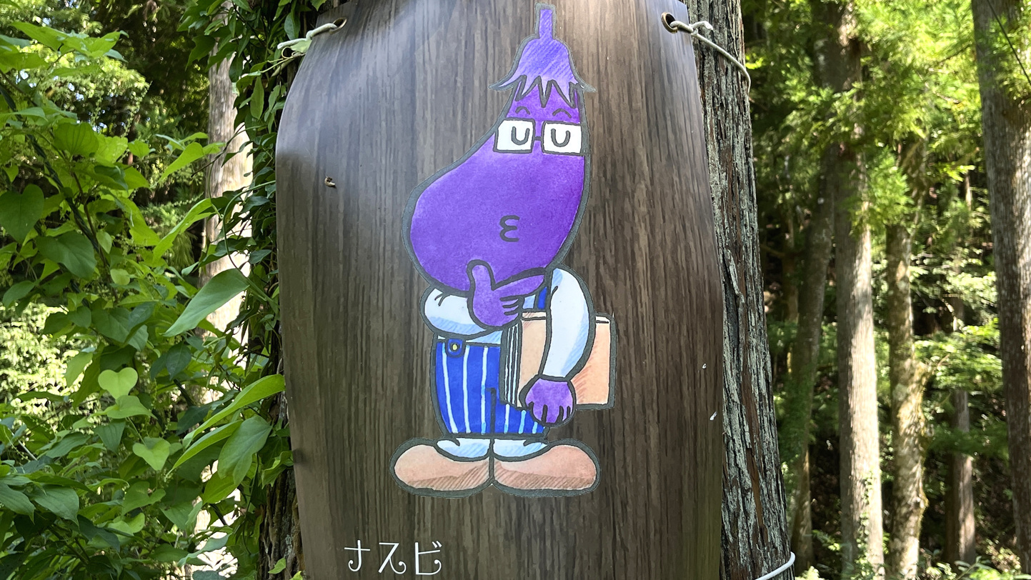 キャンプサイトナスビ