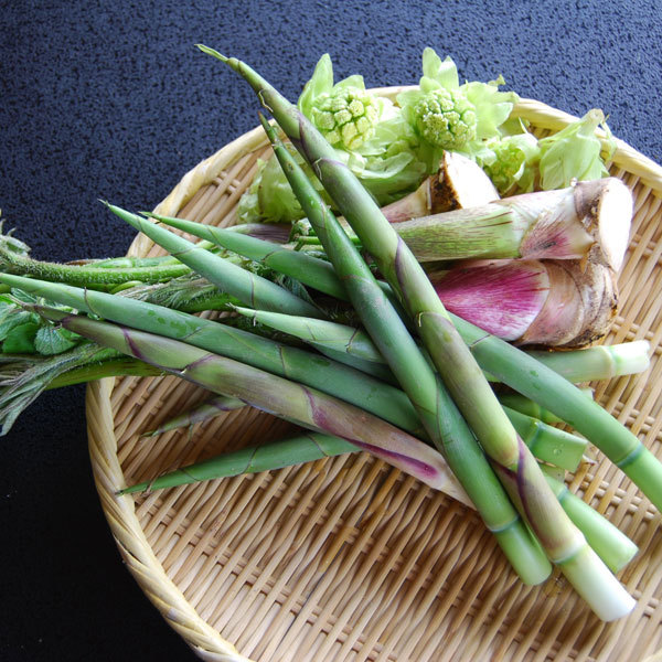 This photo about Akakura Spa Kougakuro shared on HyHotel.com