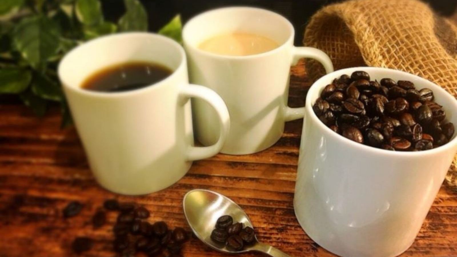 コーヒー