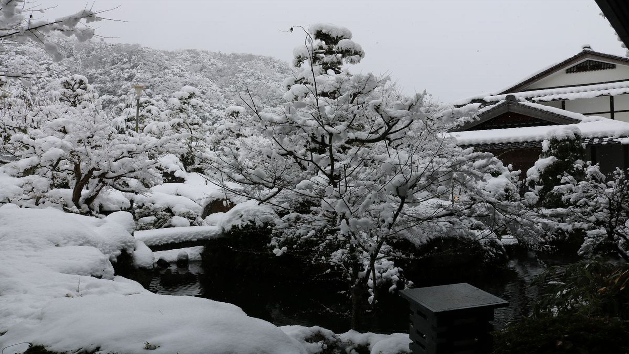 【日本庭園】ロビーからの景色〜冬〜