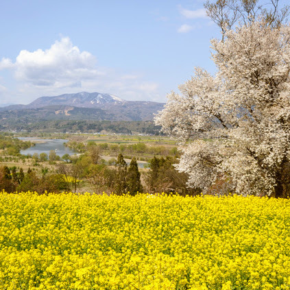 Shinshu Okushinano Oyado Iiyamakan Ambiance