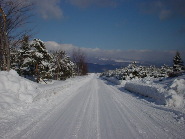 雪景色