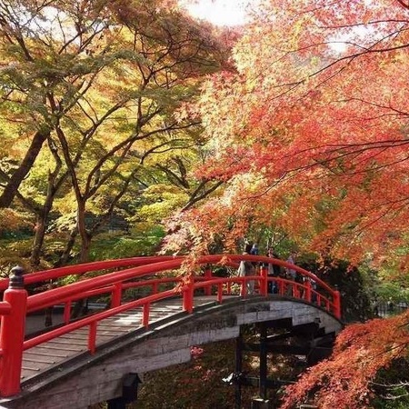 河鹿橋紅葉