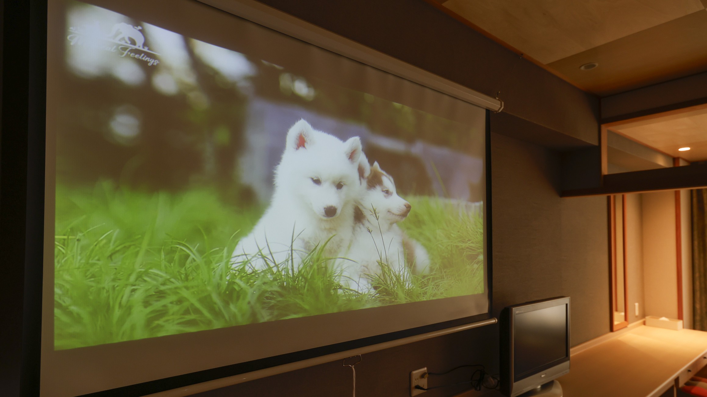 新客室「ファミリールーム」