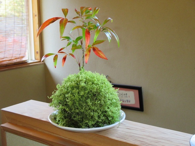 This photo about Hozenji Onsen Ryokan Ebitei shared on HyHotel.com