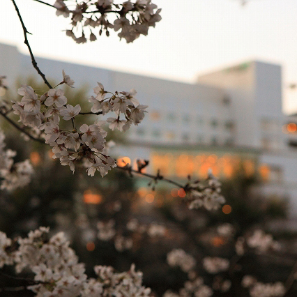 Mielparque Kumamoto