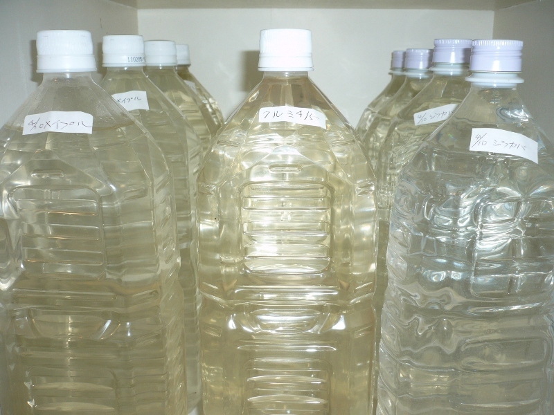 白樺、イタヤ、クルミの樹液