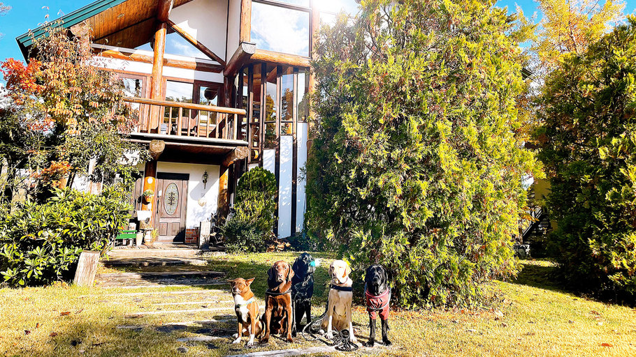 愛犬と一緒に宿泊♪