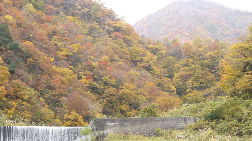 【見ごろは10月中旬〜11月中旬】蓮華の湯から眼前にそびえる山々を眺めながらの湯浴みに魅了されます