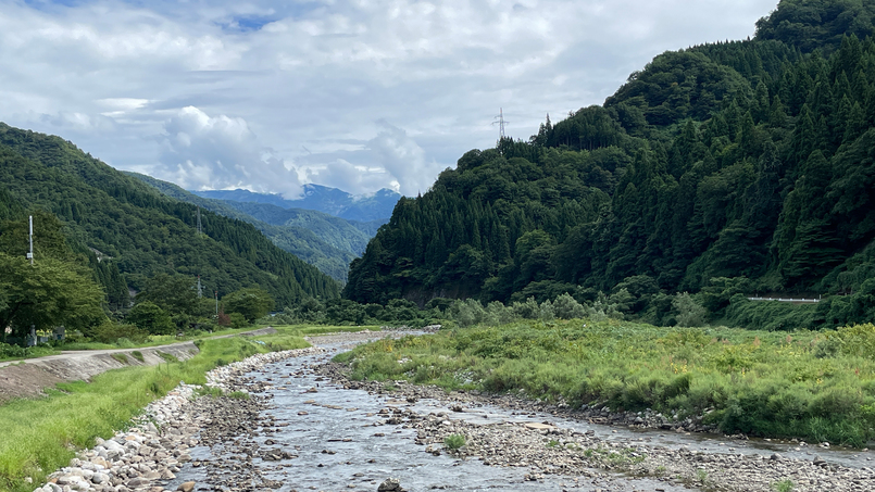 【見ごろは6月初旬〜9月初旬】当館は小川という名の川沿いにあります。せせらぎが心地よく耳に響きます