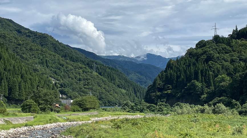 【見ごろは6月初旬〜9月初旬】当館は自然豊かな山間にある一軒家です。喧噪とは隔離された特別な地域です