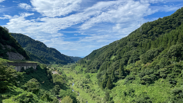 【見ごろは6月初旬〜9月初旬】車で6分「朝日小川ダム」展望台には生命力溢れる山の香りが漂います