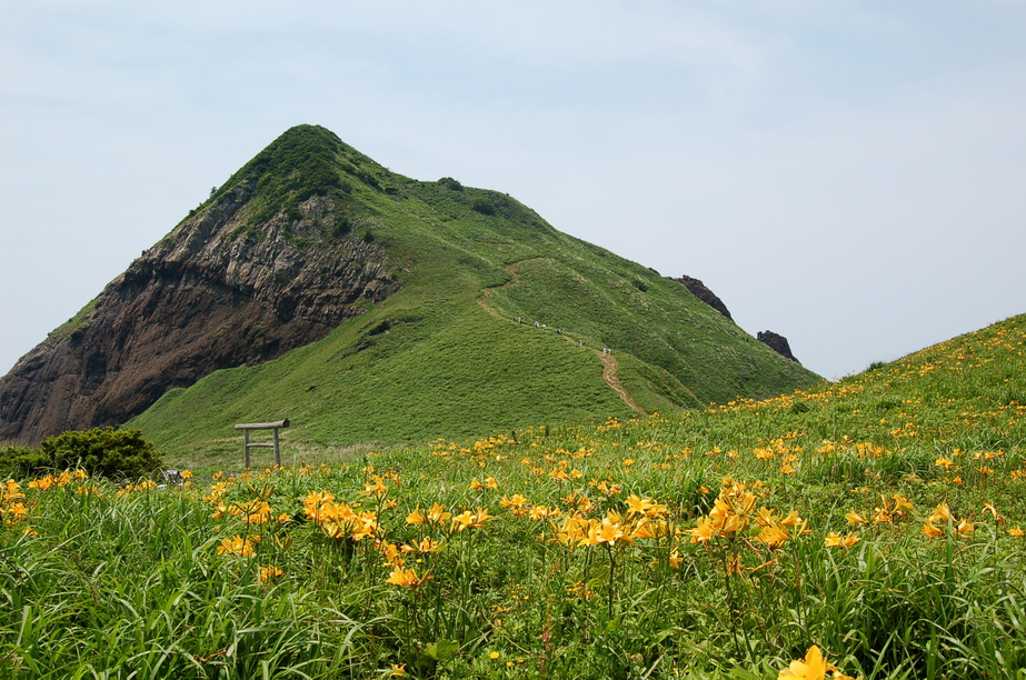 大野亀