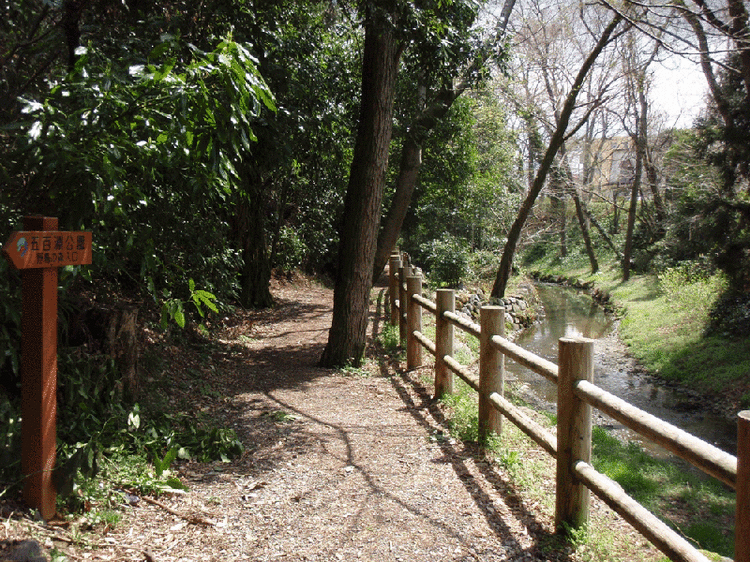 森の散歩道と南川