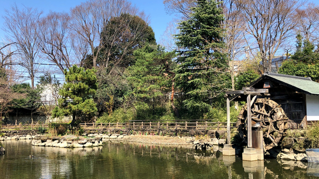 〇鍋島松濤公園