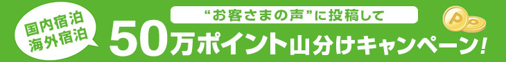 ポイント山分けキャンペーン