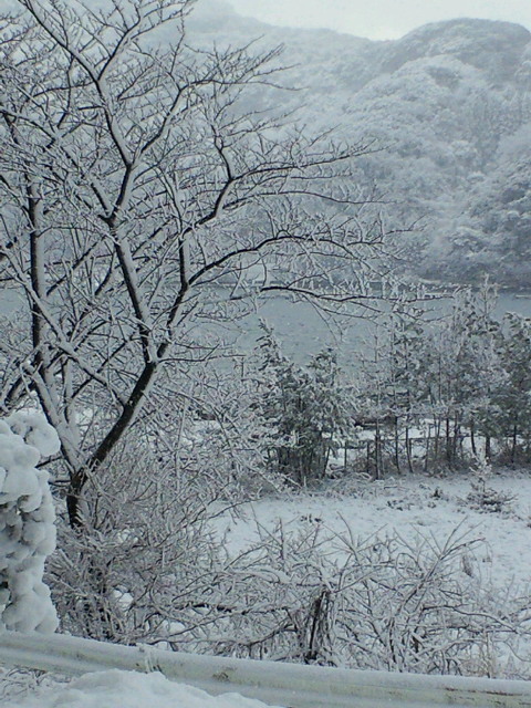 雪景色