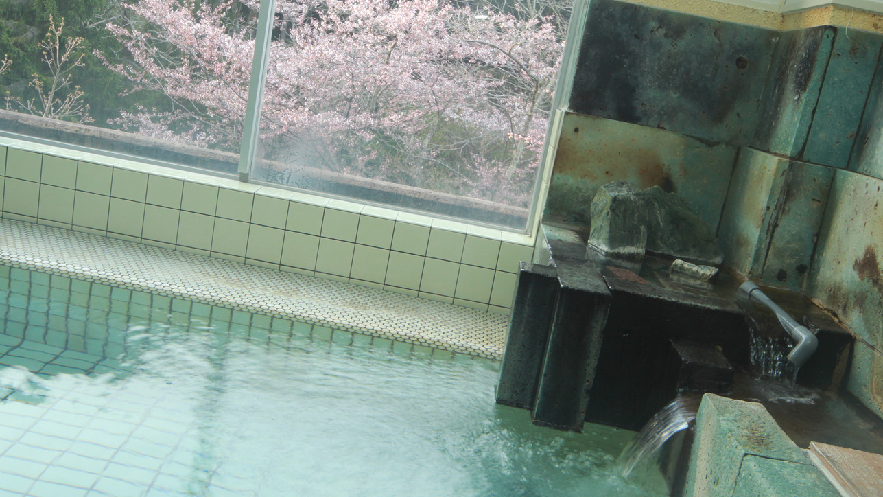 #【大浴場-春-】桜や新緑など四季折々の弥彦山を眺めながら、のんびりと浸かってください