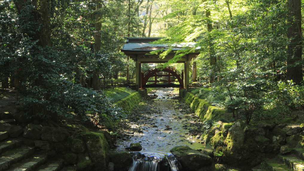 #【周辺観光-弥彦神社-】御手洗川と玉の橋。