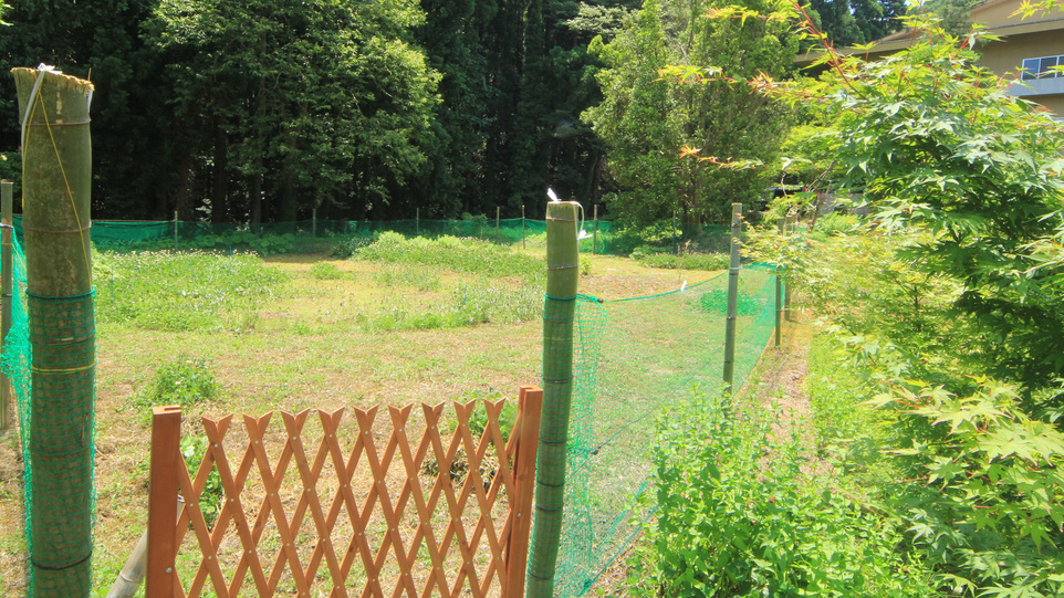 #【ドッグラン】上州苑の庭にはミニドッグランがございます。気持ちよい緑の中で、わんこを思いっきり走ら
