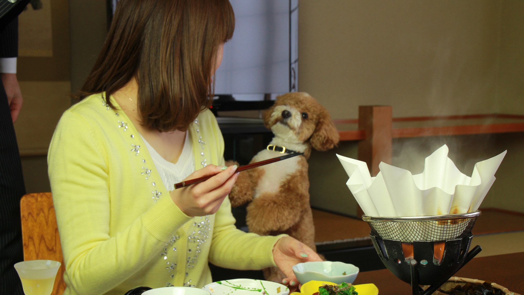 #【ご夕食】わんことご家族だけの楽しい夕食のお時間をお過ごしください